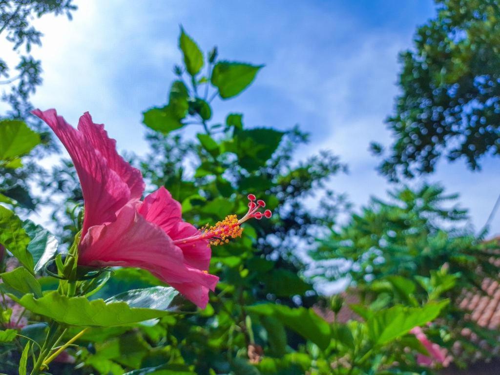 Bogor Valley Hotel Екстериор снимка