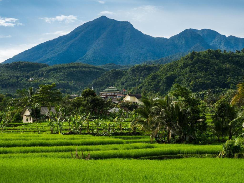 Bogor Valley Hotel Екстериор снимка