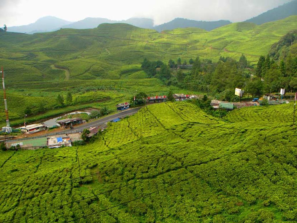 Bogor Valley Hotel Екстериор снимка